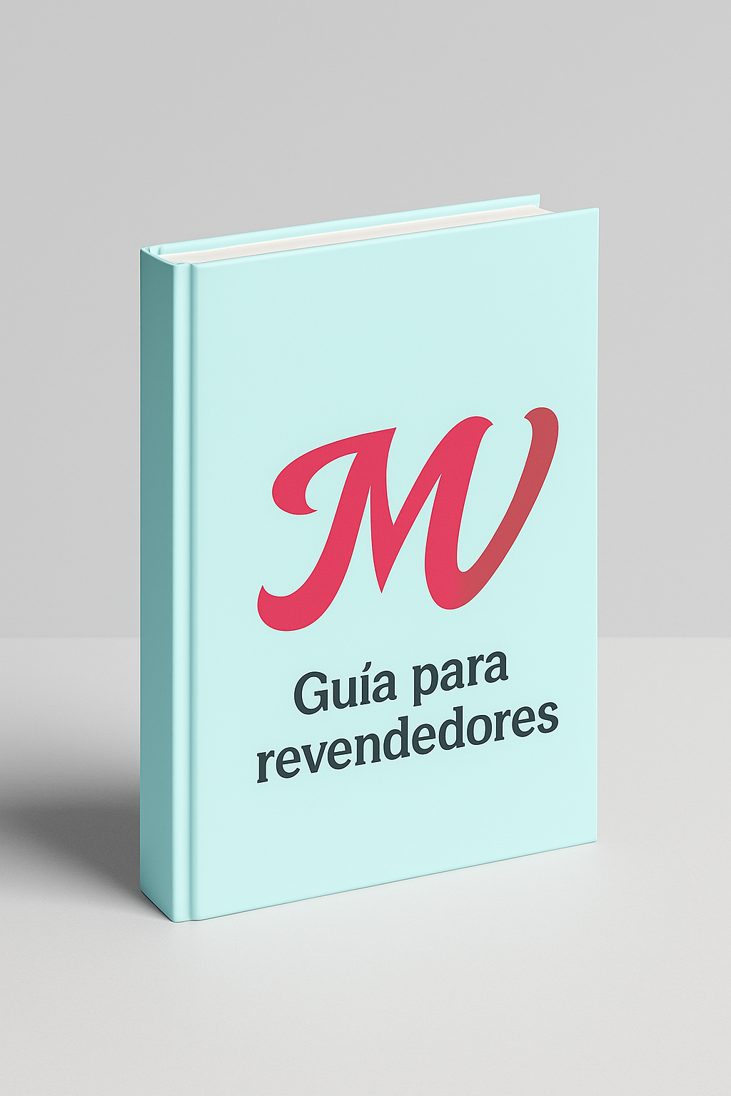 GUÍA REVENDEDOR VINTED